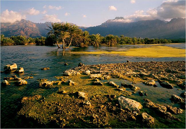 socotra